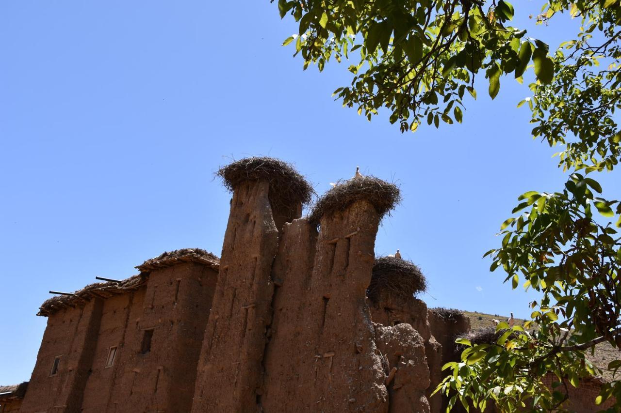 Maison D'Hotes Dar Afra Ait Ziri Buitenkant foto